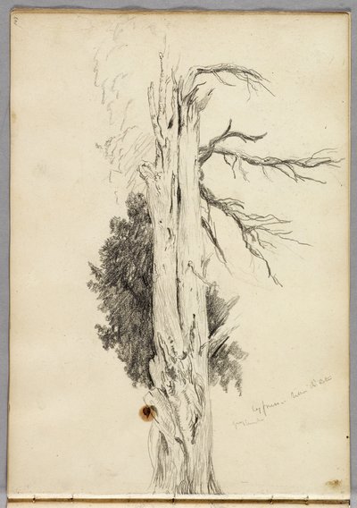 Cypress, Villa d